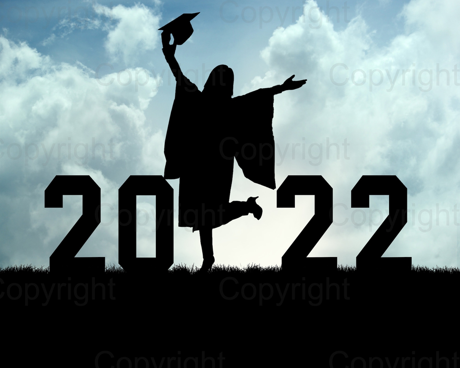 Graduate Digital Backdrops 2022 Graduate Backgrounds 2022 | Etsy