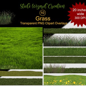 Grass Yard Overlays, Grass Clipart, Lawn, Green Grass PNG Clipart, commercial use