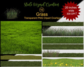 May include: A collection of transparent PNG clipart overlays featuring various types of grass. The image includes a large field of green grass, along with several smaller grass border designs. The text reads "Steele Wizard Creation" and "Grass". The image is 20 inches wide at 300 DPI.