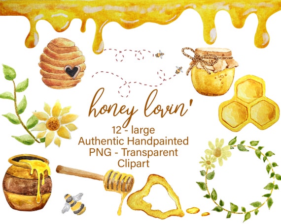 Watercolor Honey Clipart Honey Bees Hand Painted | Etsy
