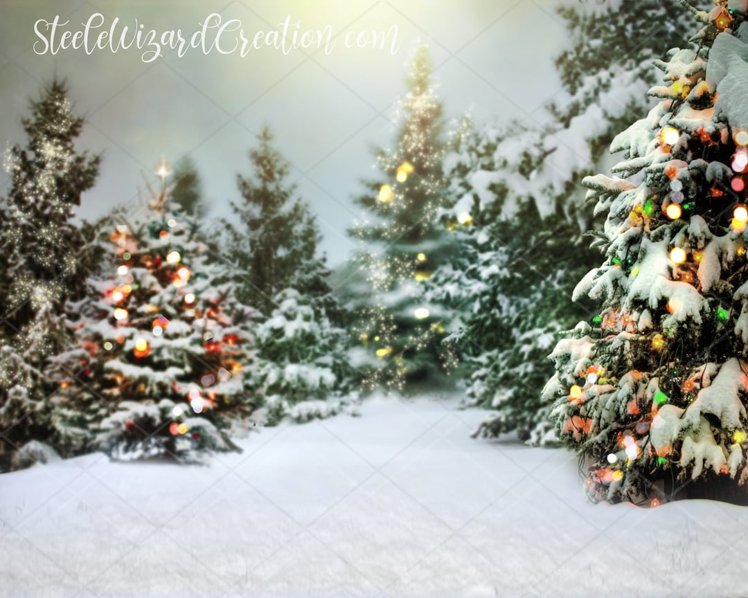Winter Wonderland Backdrop Background, Snow Tree, Christmas Photography