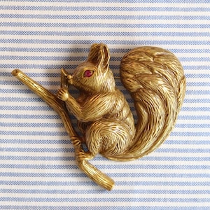 May include: A gold-toned metal brooch shaped like a squirrel perched on a branch. The squirrel features textured fur detailing and a single small, round, red gemstone set as its eye. The piece is rendered in a metallic finish with visible lines.