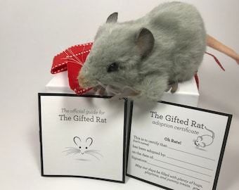large stuffed rat