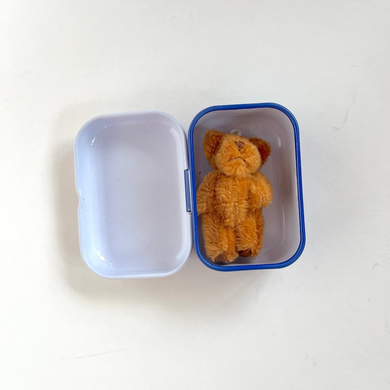 Miniature Storage Tin Box for Tiny Bear, Doll Travel Accessory zdjęcie 4