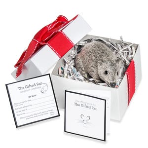 Fake Realistic Lifelike Rat Mouse Gray Prank Funny Prank Gift Rat Gift