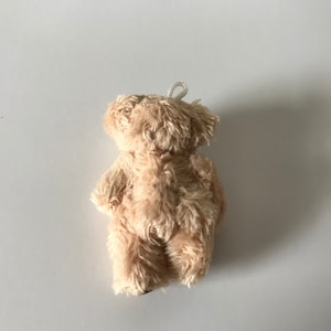 Sehr winziger weicher Fuzzy gefüllter Teddybär für 6yrs oder älter Bild 8