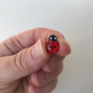 May include: A small, rounded ladybug figurine featuring a vibrant red body with distinct black spots and a black head with two white dots. The object is crafted with a smooth, glossy finish and displays a symmetrical, insect-inspired design.
