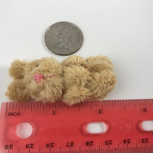 May include: A small, tan teddy bear with a pink nose lying on a red ruler. The ruler is marked in inches and has a measurement of 3 inches.