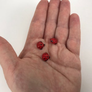 May include: Three small, rounded ladybug-shaped ornaments or buttons. Each piece is painted a vibrant red with distinct black spots and a small black head detail. The items are miniature in size, featuring a smooth, domed surface and a realistic insect-inspired design.