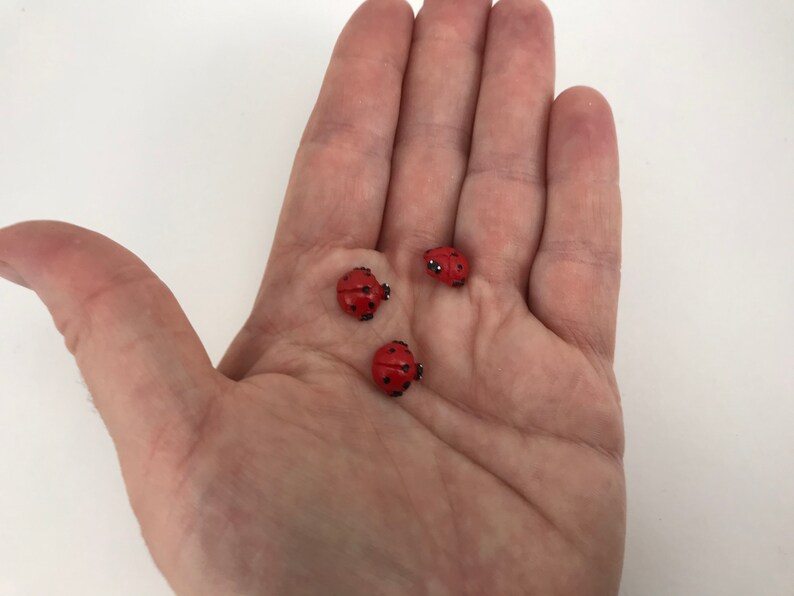 May include: Three small, rounded ladybug-shaped ornaments or buttons. Each piece is painted a vibrant red with distinct black spots and a small black head detail. The items are miniature in size, featuring a smooth, domed surface and a realistic insect-inspired design.