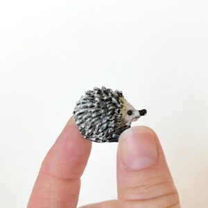 Miniature Hedgehog Fairy Garden Dollhouse