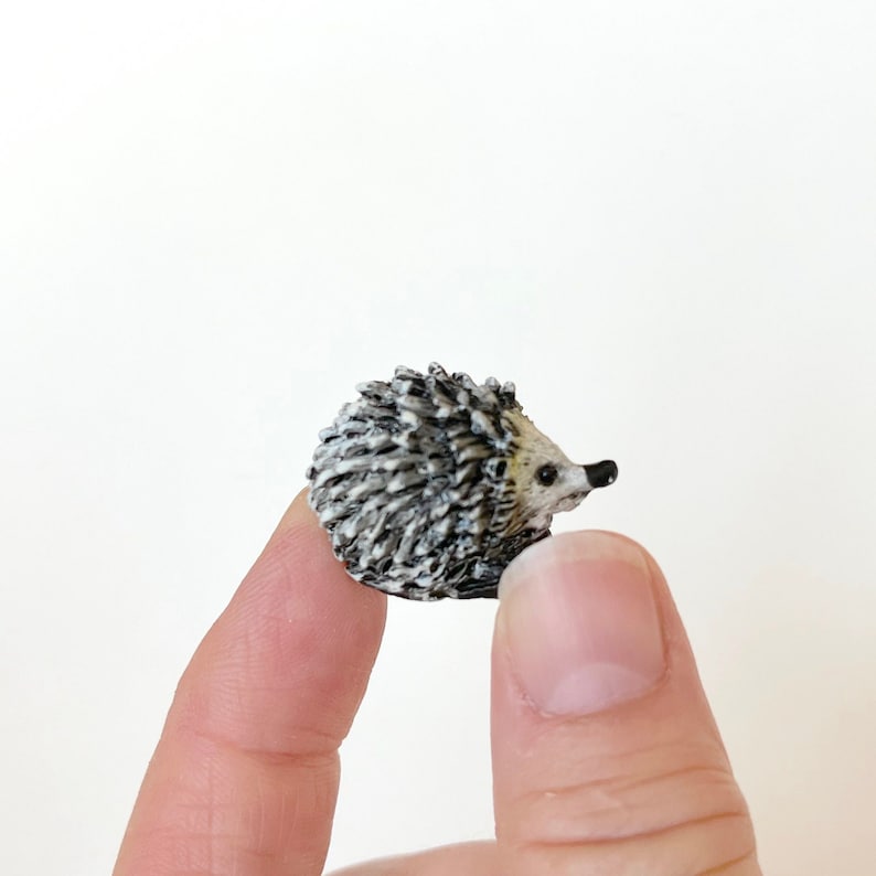 Miniature Hedgehog Fairy Garden Dollhouse image 1