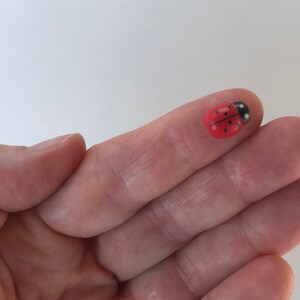 May include: A small, rounded ladybug figurine featuring a bright red shell with black spots and a black head with white markings. The ladybug is depicted in a top-down view, showcasing its smooth, glossy surface and distinct insect-like features.
