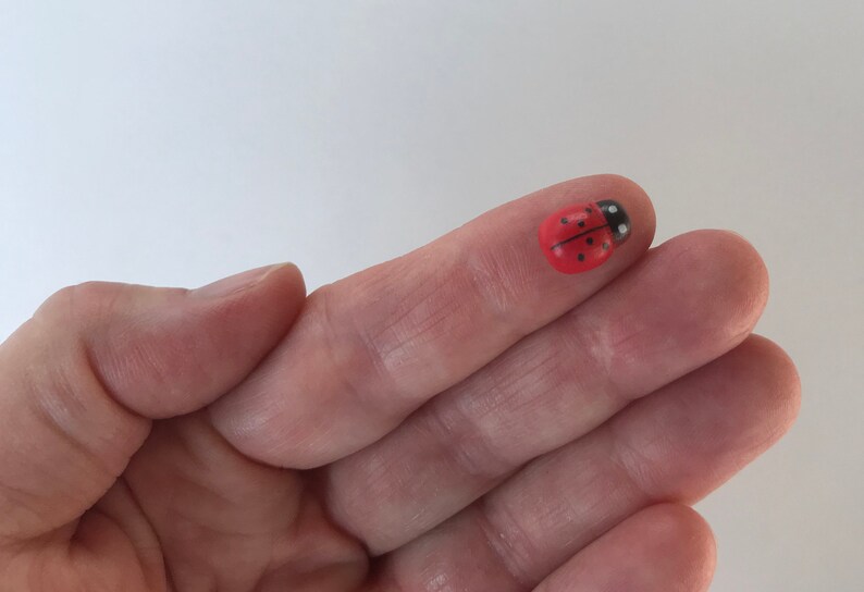 May include: A small, rounded ladybug figurine featuring a bright red shell with black spots and a black head with white markings. The ladybug is depicted in a top-down view, showcasing its smooth, glossy surface and distinct insect-like features.