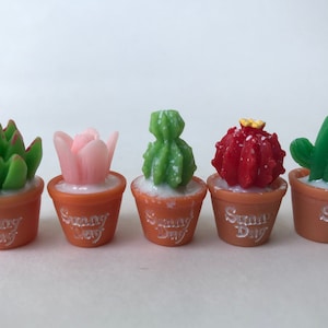 Miniature Cactus Micro Landscape Succulent Plant Dollhouse Fairy Garden Plant Flower Pot