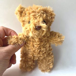 Peut inclure: Un petit ours en peluche marron clair avec une texture duveteuse. L'ours a un nez marron et de petits yeux sombres. Ses bras sont tendus et il semble fait à la main.