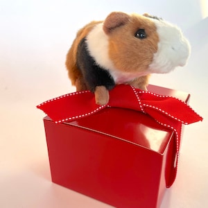 Adopt Stuffed Guinea Pig Pet Adoption Gift