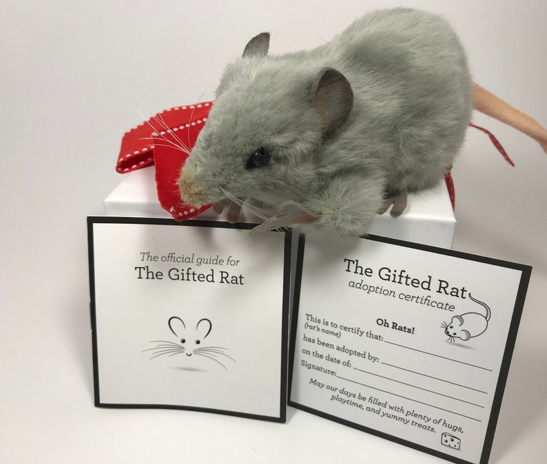 Plush Mouse Rat Gift Adopt Rat Prank Gift zdjęcie 1