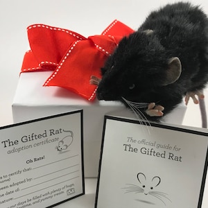 Plush Black Realistic Fake Lifelike Mouse Rat Gift Adoption Certificate