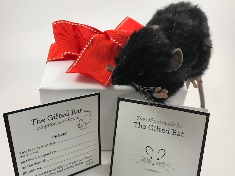 Mouse Rescue Medal Plush Black Realistic Fake Lifelike Mouse Rat Gift Adoption Certificate ...