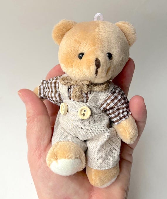 ドールハウス テディベア 男の子と女の子のクマの小さなぬいぐるみ