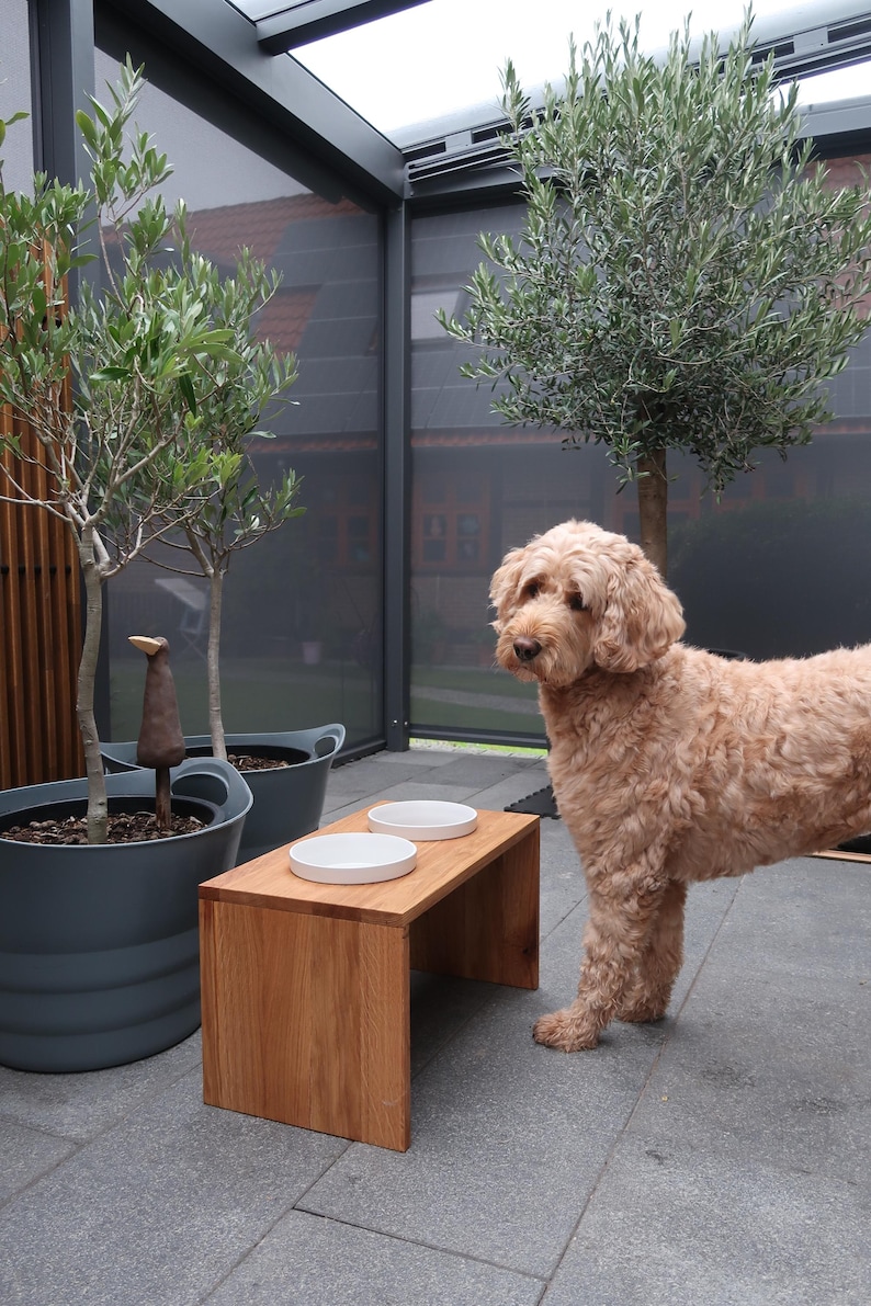 Puede incluir: Un soporte de madera para cuencos de perro con dos cuencos de cer&aacute;mica blancos. El soporte es de madera clara y rectangular. Un perro esponjoso de color marr&oacute;n claro est&aacute; cerca. Dos olivos en macetas est&aacute;n en el fondo.