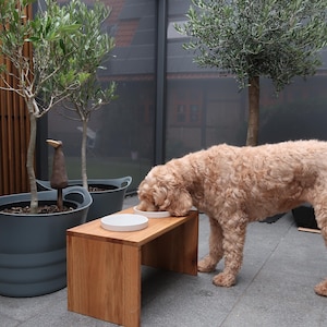 Puede incluir: Un perro marr&oacute;n claro come de dos cuencos blancos sobre una peque&ntilde;a mesa rectangular de madera para perros. El perro est&aacute; en un entorno al aire libre con olivos en macetas. Una estatua decorativa de p&aacute;jaro es visible.
