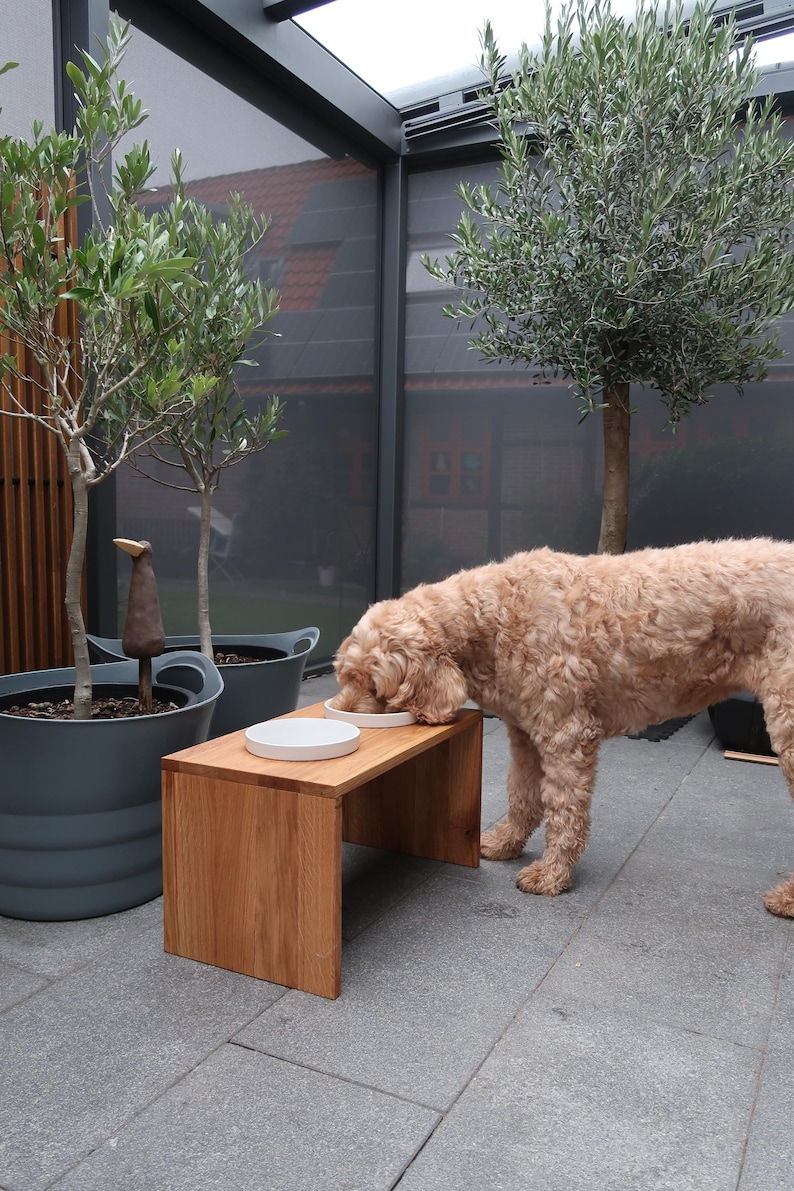 Puede incluir: Un perro marr&oacute;n claro come de dos cuencos blancos sobre una peque&ntilde;a mesa rectangular de madera para perros. El perro est&aacute; en un entorno al aire libre con olivos en macetas. Una estatua decorativa de p&aacute;jaro es visible.
