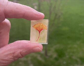 Ginkgo Biloba mini magnet