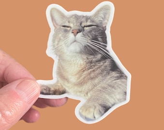 Happy Kitty Sticker