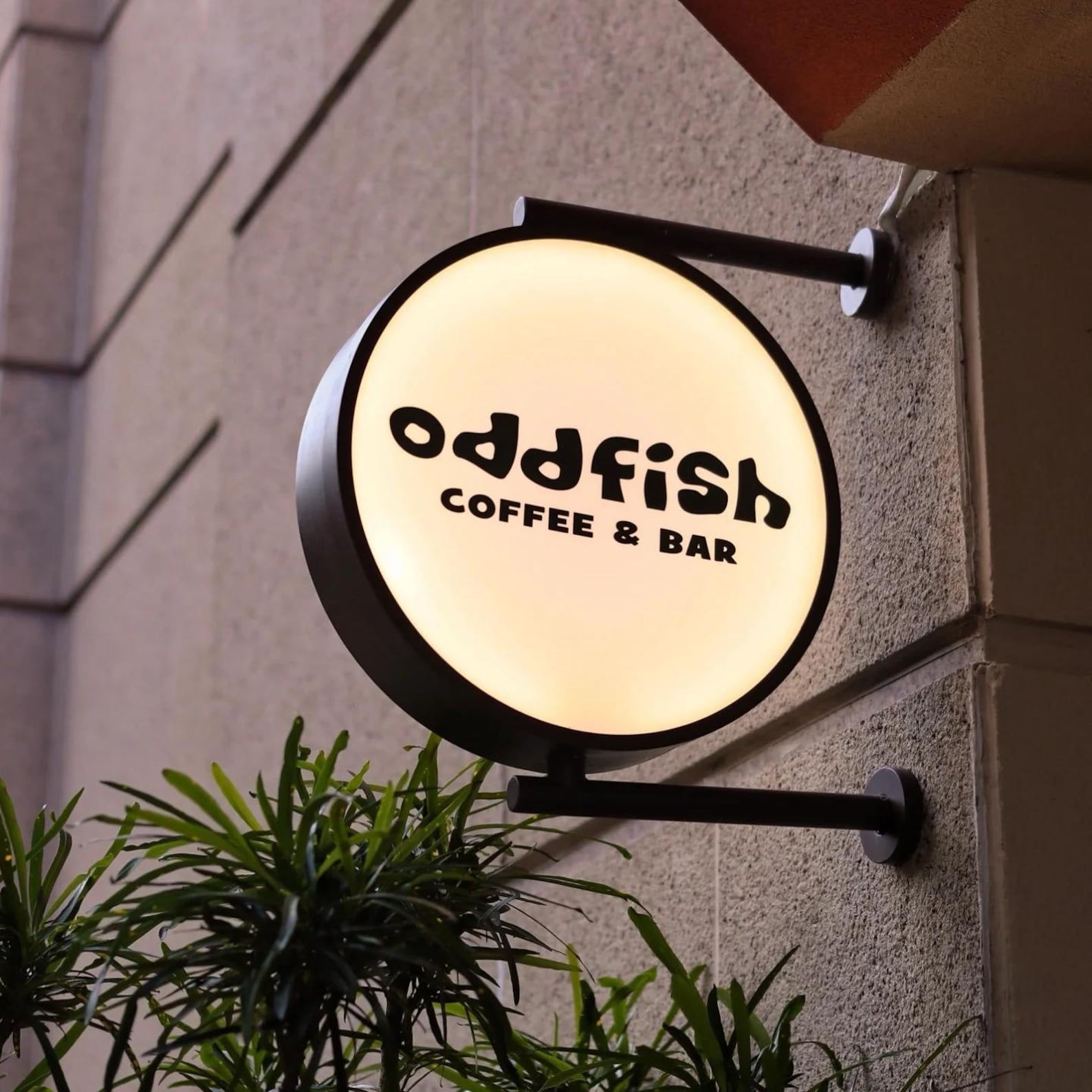 Custom Shaped LED Light Box - Personalized Irregular Illuminated Sign ...
