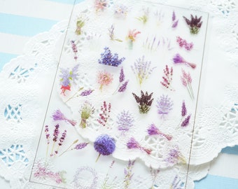 Clear Film Sheet for Resin Craft / Lavender Flowers  / SH005