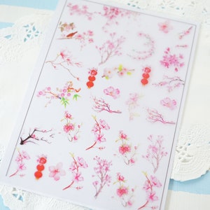 Foglio di pellicola trasparente per imbarcazioni in resina / Fiore di ciliegio Sakura / SH001