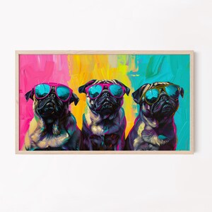 Puede incluir: Tres carlinos con gafas de sol coloridas sobre un fondo vibrante de color rosa, amarillo y azul. Los carlinos miran a la cámara con una expresión juguetona.