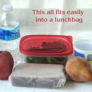 Food themed Insulated Lunch Bags, Lunch Tote image 2