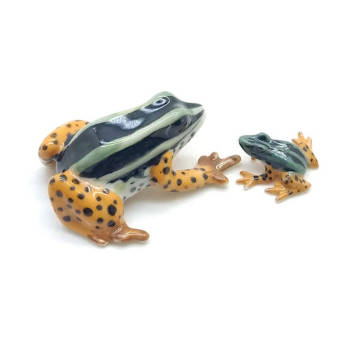 Little Poison Dart Frog Necklace With Personalised Message Etsy Ireland