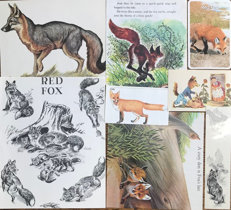 boardgamer.ru the fox in the forest boardgamer.ru the fox in the forest