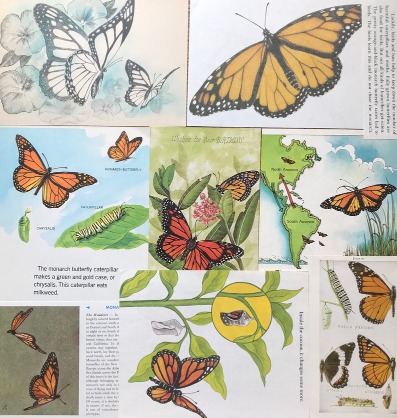 monarch butterflies vintage butterfly collage scrapbook and etsy