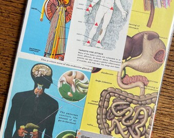 The Human Body Weird Science Vintage Anatomy and Doctor Collage, Scrapbook and Planner Kit Number 3535