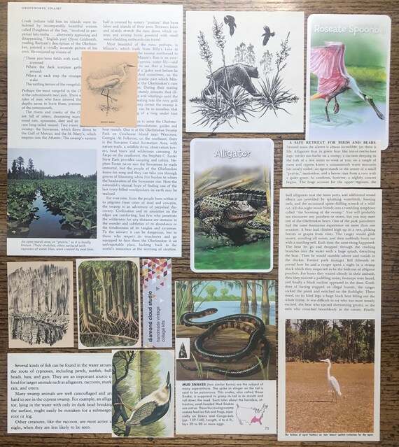 Nous Nous Nous allons voyager à la Vintage Okefenokee Swamp Géorgie Collage, planificateur et Scrapbook Kit numéro 2619 3a3a30 Nous Nous Nous allons voyager à la Vintage Okefenokee Swamp Géorgie Collage, planificateur et Scrapbook Kit numéro 2619 3a3a30