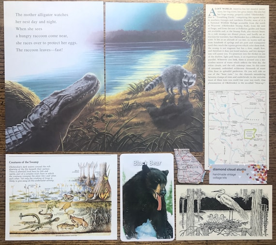 Nous Nous Nous allons voyager à la Vintage Okefenokee Swamp Géorgie Collage, planificateur et Scrapbook Kit numéro 2619 3a3a30 Nous Nous Nous allons voyager à la Vintage Okefenokee Swamp Géorgie Collage, planificateur et Scrapbook Kit numéro 2619 3a3a30