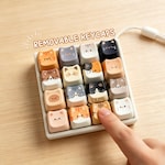 Computer Accessories