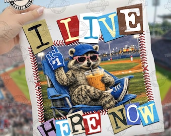 Waschbär lustiges Ballfeld Png, Baseball Mama Stil PNG, Softball Clipart, Baseball Softball Turnier Png, Softball Ball Mama, Sublimationsdatei