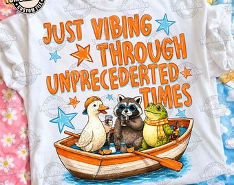 Funny Animal PNG, Funny Animal Frog Raccoon Goose Png, Funny Sarcastic Saying Png, Summer Vibes Png, Summer Png, Sublimation File