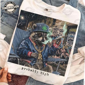 Probablemente drogado PNG, mapache fumando marihuana, diseño de marihuana 420, mapache de café, diseño de camiseta de meme de animales divertidos, archivo de sublimación
