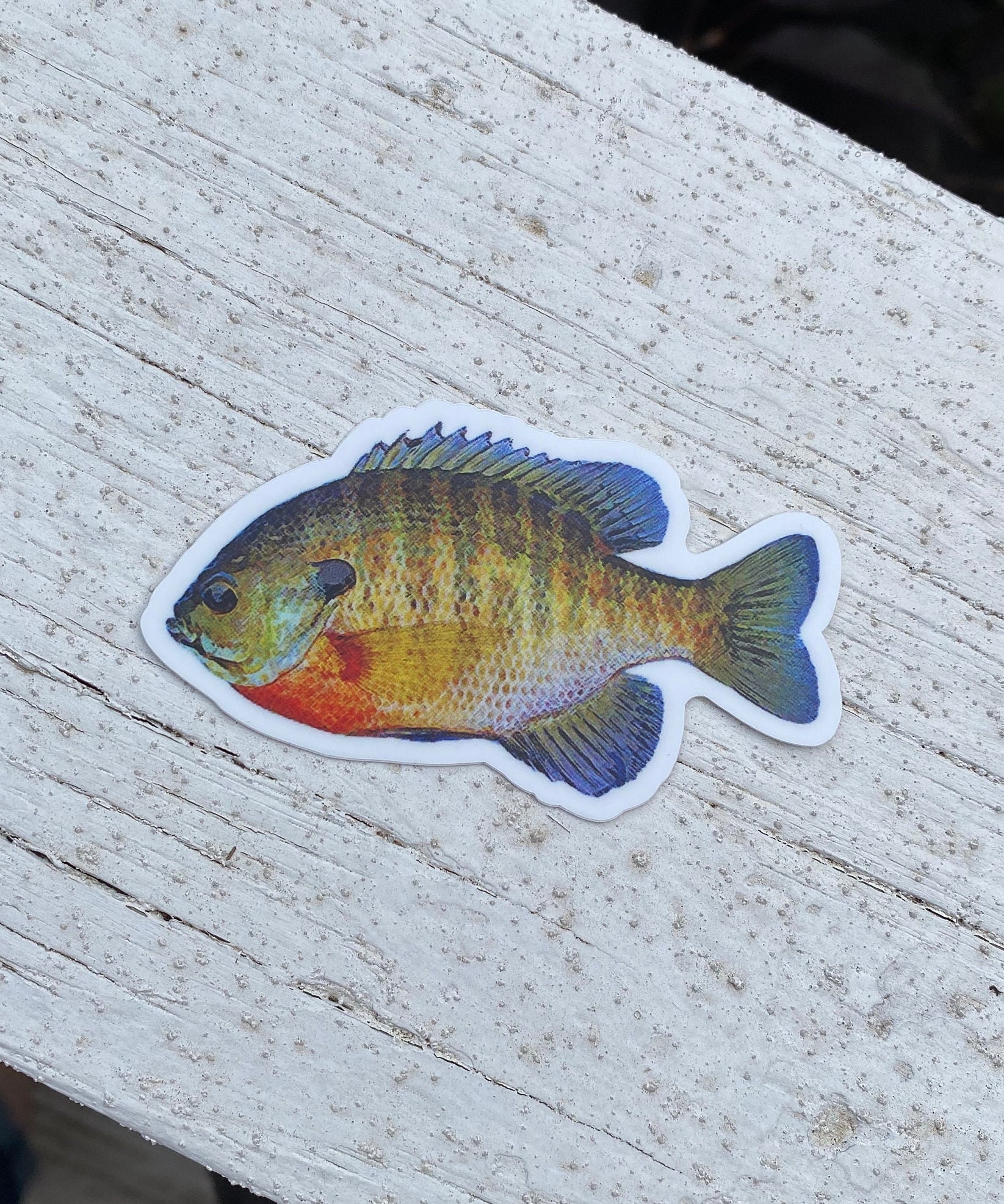 Sunfish Sticker Panfish Sticker I Love Fishing Sticker Watercolor