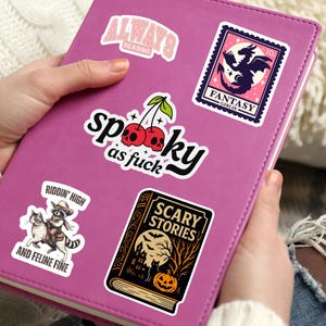 May include: A pink journal covered in stickers. Stickers include the text "ALWAYS READING", "Spooky as fuck", a cherry design, a stamp with a dragon, and a sticker with a cat riding a raccoon. The sticker says "RIDDIN' HIGH AND FELINE FINE".