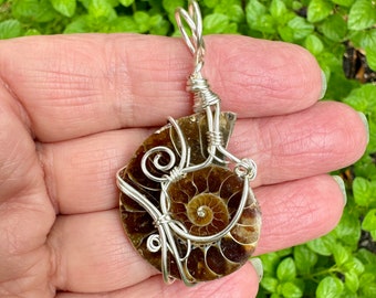 Ammonite Fossil wire wrapped pendant. Ancient agate "snail". Cord included.