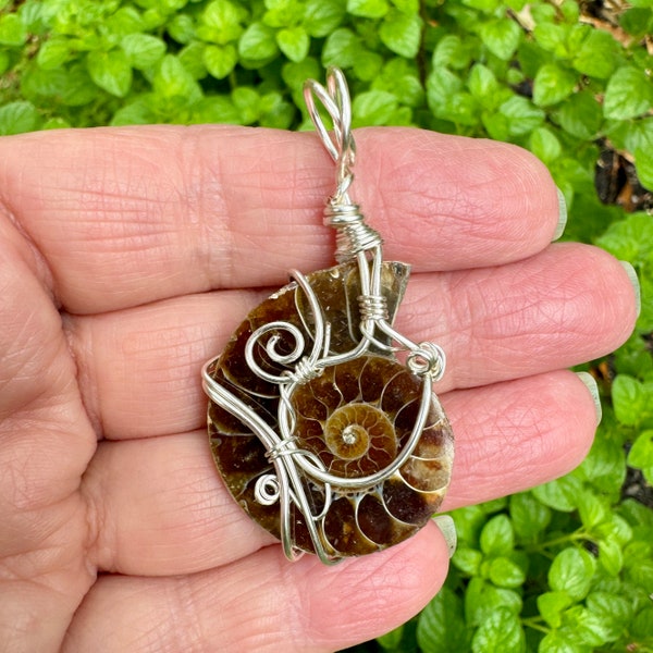 Ammonite Fossil wire wrapped pendant. Ancient agate "snail". Cord included.