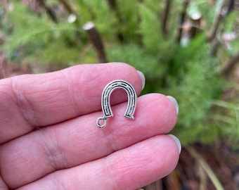 Horseshoe Charms. Small, silver-plated, reversible. 1/2-inch square. Set/10.